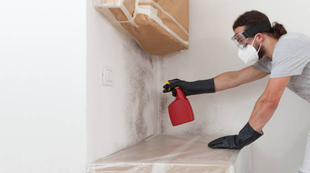 Professional Crawl Space Mold Remediation technician working in Milroy, PA