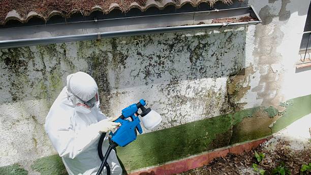 Top rated local Crawl Space Mold Remediation specialists in Milroy, PA